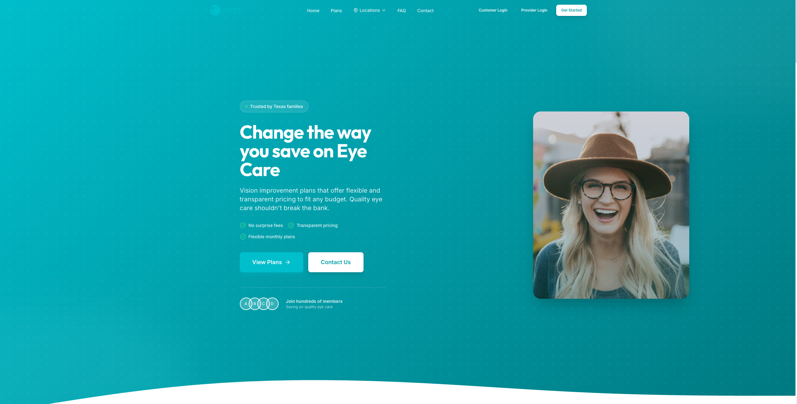 Screenshot of Vision Improvement Plan